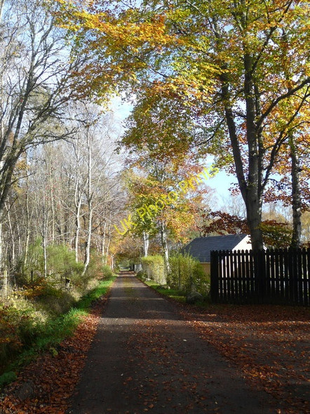 Photo 6"x4" Near Auchoyle. Kilmuir\/NH7573 c2009