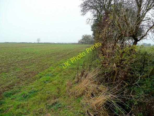 Photo 6"x4" Hedgerow and field Aisby\/SK8792 c2009
