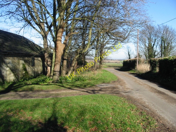 Photo 6"x4" Looking NE to road junction at Ham Ham\/TR3254 c2008