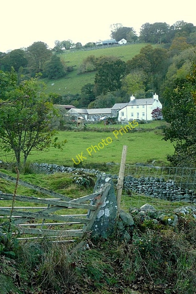 Photo 6"x4" Towards Is-allt Rowen\/SH7571 c2009