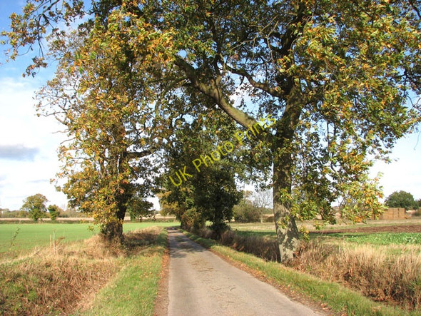 Photo 6"x4" Leavy Oak Lane West Poringland c2009