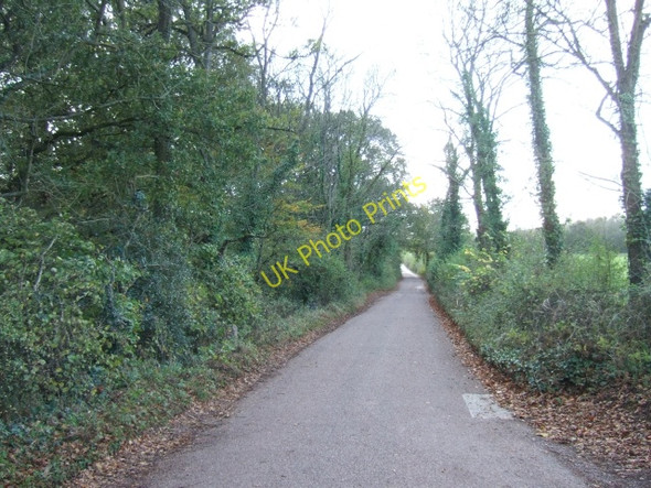 Photo 6"x4" Lane running along the northwest of Franklin's Plantation Ratsloe c2009