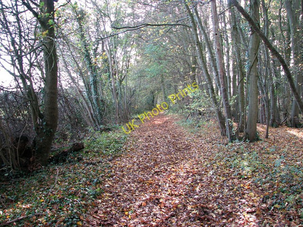 Photo 6"x4" Path from Grub Street to Kirstead Green Howe\/TM2799 c2009