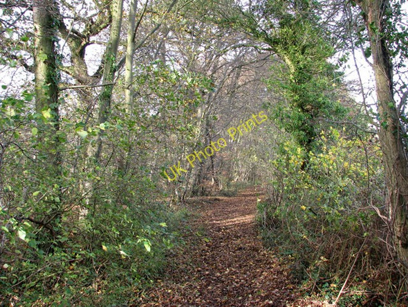Photo 6"x4" This way to Grub Street Howe\/TM2799 c2009