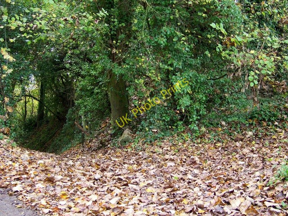 Photo 6"x4" Old Bowden Way Henstridge Bowden c2009