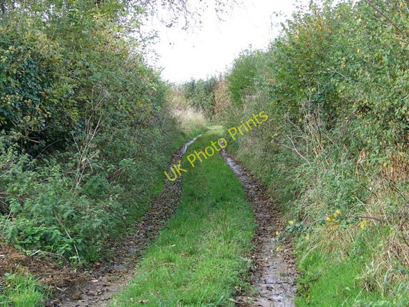 Photo 6"x4" Byway near Trent Gore\/ST5918 c2009