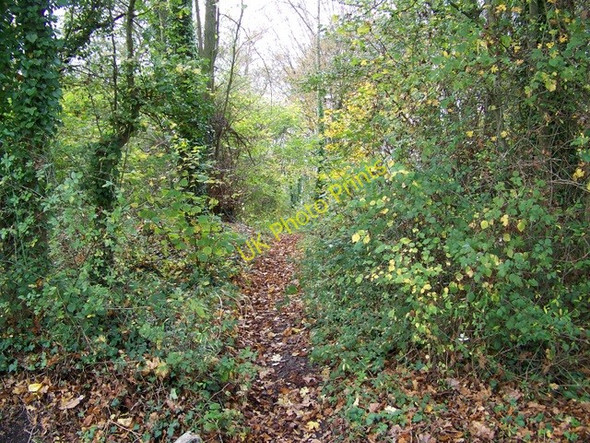 Photo 6"x4" Footpath near Longburton Longburton c2009