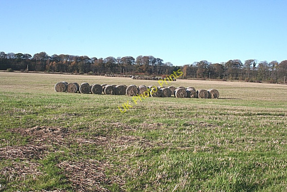 Photo 6"x4" Fields near Dipple Crofts of Dipple c2009