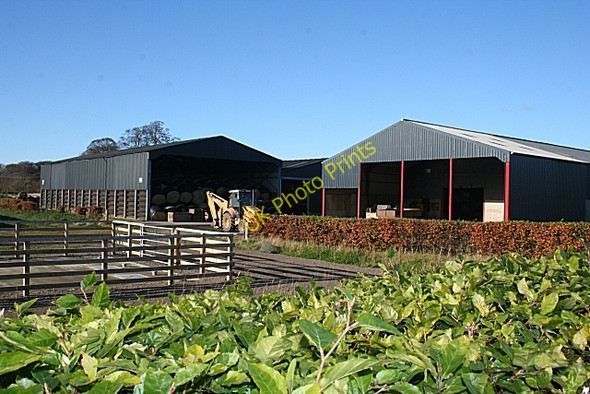 Photo 6"x4" Dipple Farm Crofts of Dipple c2009