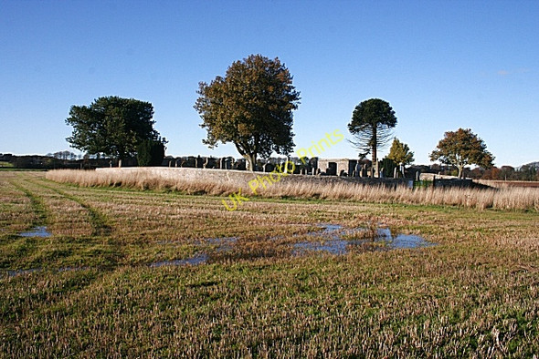 Photo 6"x4" Dipple Graveyard Trochelhill c2009