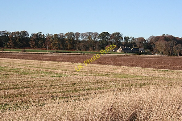 Photo 6"x4" Near Dipple Crofts of Dipple c2009