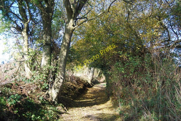 Photo 6"x4" Heading to West Peckham on a Road used as a public right of way West Peckham c2009