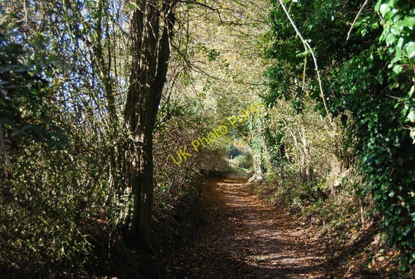 Photo 6"x4" Heading to West Peckham on a Road used as a public right of way West Peckham c2009 P1