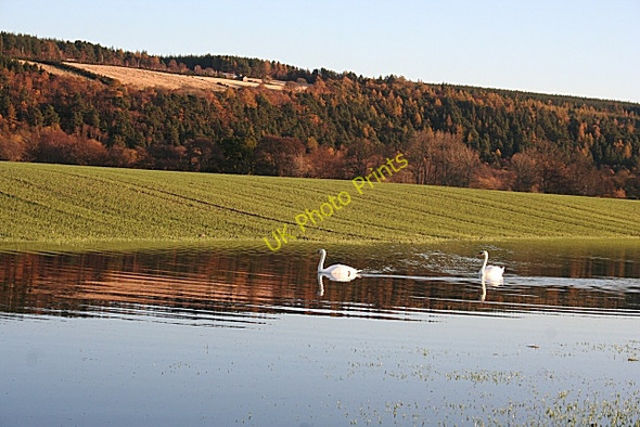 Photo 6"x4" Now Then, What's All This? Inchberry\/NJ3155 c2009
