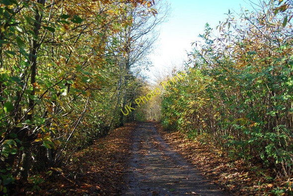 Photo 6"x4" Swanton Rd through Hurst Wood Gover Hill c2009