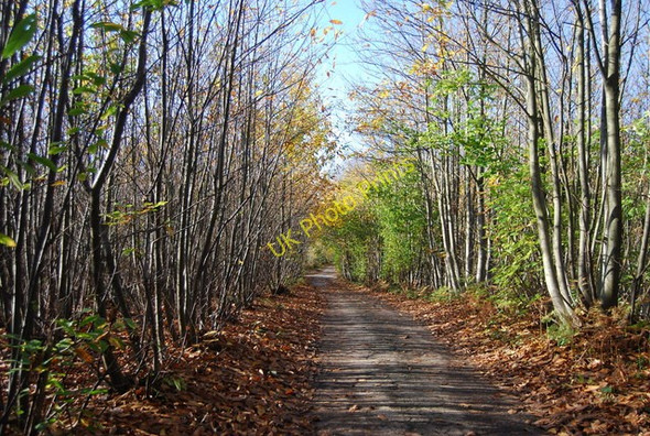 Photo 6"x4" Swanton Rd Gover Hill c2009