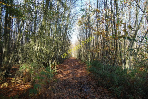 Photo 6"x4" Bridleway through Hurst Wood Gover Hill c2009