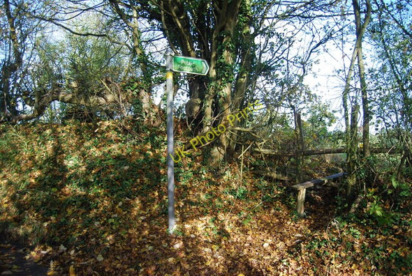 Photo 6"x4" Footpath signposted off Sheet Hill Ivy Hatch c2009