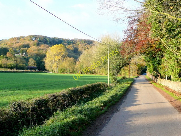 Photo 6"x4" Country lane near Parkfields Pontshill c2009