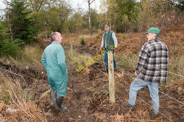 Photo 6"x4" Warwickslade Cutting: refencing Poundhill Inclosure Bank\/SU2807 c2009 P1