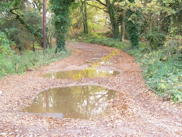 Photo 6"x4" Bridleway, Shortheath Common Bordon c2009