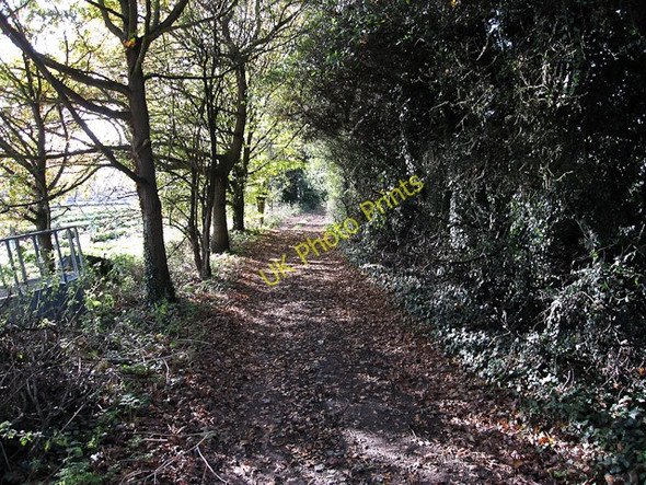 Photo 6"x4" Byway from Maltmas Farm Friday Bridge c2009