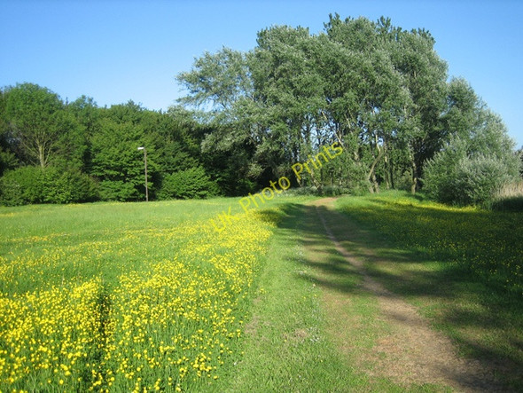Photo 6"x4" Pathway alongside Teardrop Lakes Milton Keynes c2009