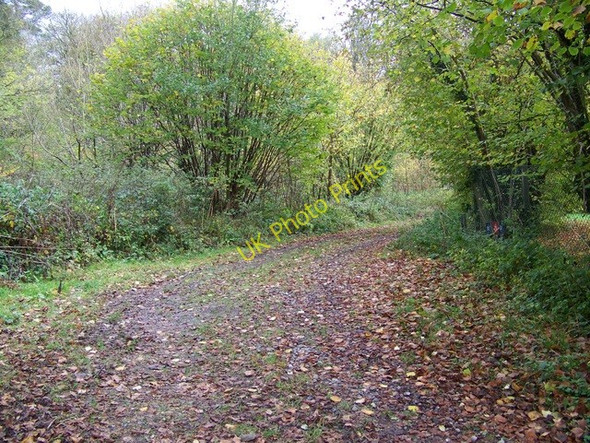 Photo 6"x4" Byway near Hale Hale\/SU1919 c2009