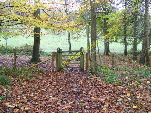 Photo 6"x4" Woodland park, Dinton Path Dinton\/SU0131 c2009