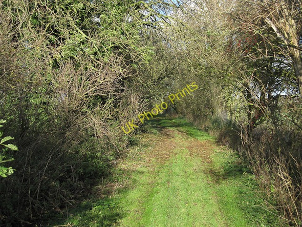 Photo 6"x4" Coldham Bank Coldham\/TF4302 c2009