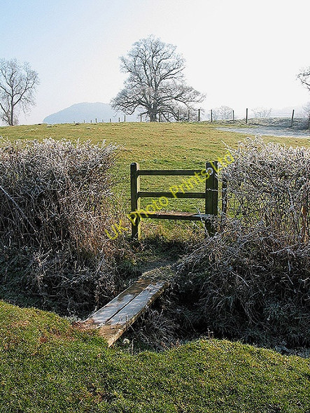 Photo 6"x4" Footpath to the River Wye Ballingham Hill c2008