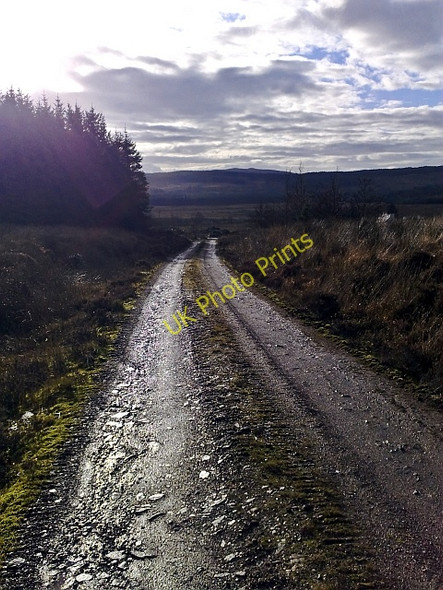 Photo 6"x4" Forestry Track near Spion Kop Whitehouse\/NR8161 c2009
