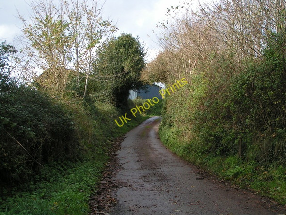 Photo 6"x4" Lane passing Hayne House, looking towards Silverton Ellerhayes c2009