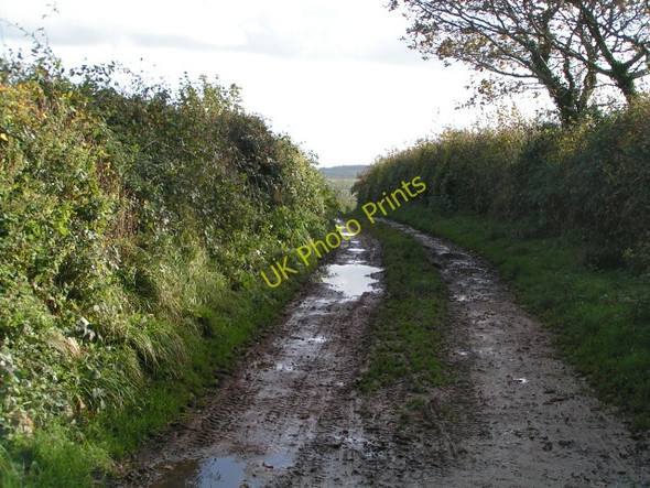 Photo 6"x4" Muddy track heading towards Bradninch Bradninch\/SS9903 c2009
