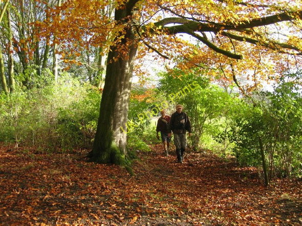 Photo 6"x4" Footpath above Newbrough Newbrough c2009