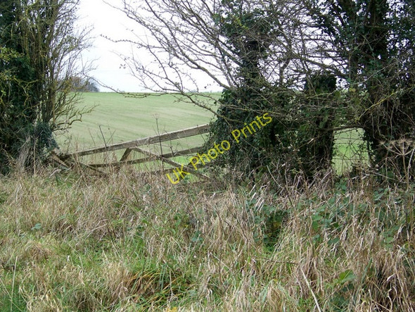 Photo 6"x4" Hedge and gate near West Knoyle Upton\/ST8732 c2009