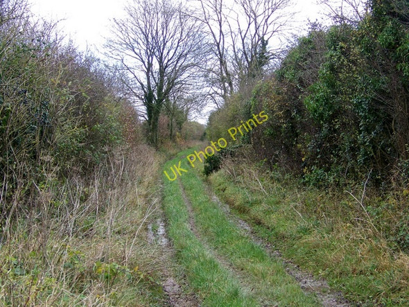 Photo 6"x4" Bridleway near Upton Upton\/ST8732 c2009