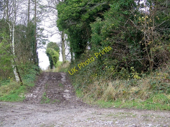 Photo 6"x4" Restricted byway, Chapel Farm Upton\/ST8732 c2009