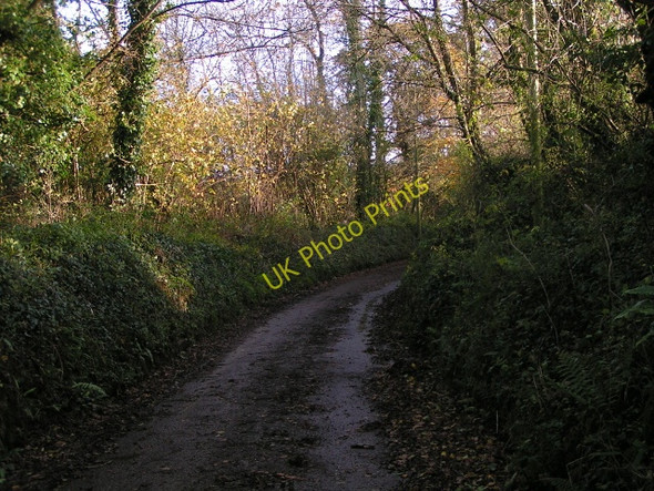 Photo 6"x4" Lane to farms and bridleway south of Butterleigh Butterleigh c2009