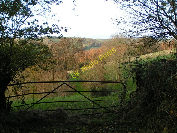 Photo 6"x4" Gateway into a field above the Burn valley Chitterley c2009