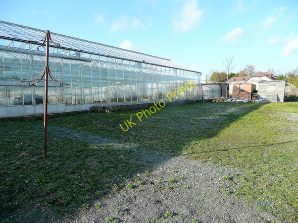 Photo 6"x4" Redundant glasshouses Shipley\/SO8095 c2009