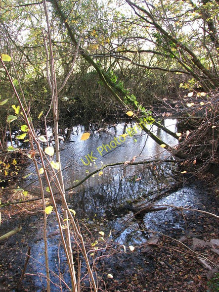 Photo 6"x4" Small pond on the southern edge of Sprow's Pits Swainsthorpe c2009