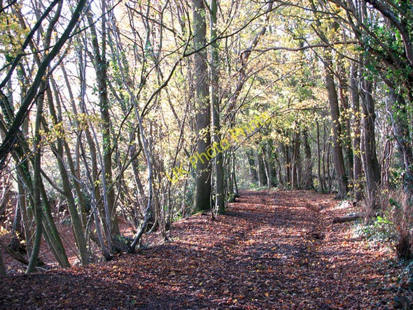 Photo 6"x4" Hickling Lane traversing Sprow's Pits Swainsthorpe c2009