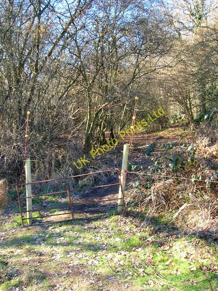 Photo 6"x4" Entering Ramslye Wood Royal Tunbridge Wells c2008