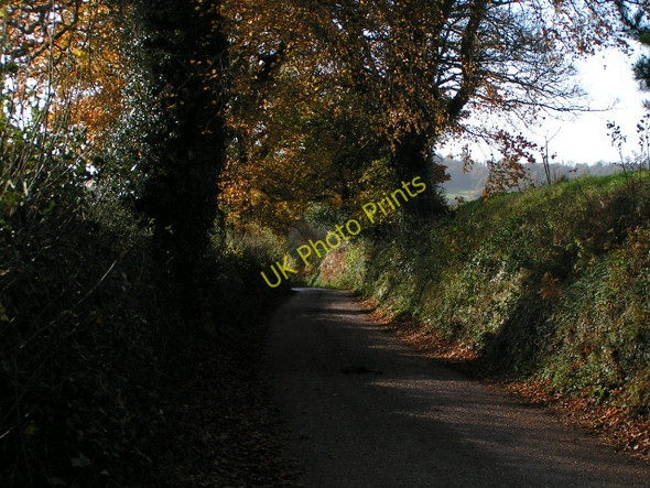 Photo 6"x4" Lane to Silverton Mill Ellerhayes c2009