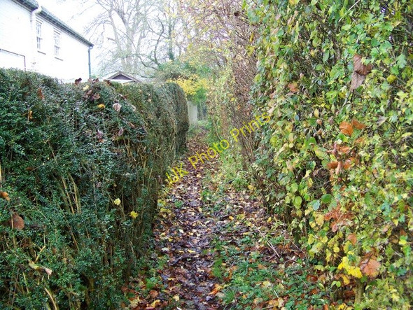 Photo 6"x4" Footpath, Stitchcombe Stitchcombe c2009