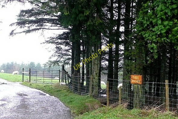 Photo 6"x4" Entrance to Three Birches Ale Oak c2009