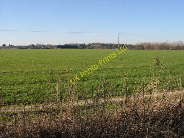 Photo 6"x4" View across the fields to Sholden from Southwall Road Deal c2008