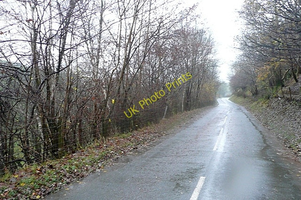 Photo 6"x4" B4368 near Hall of the Forest Pentiken c2009