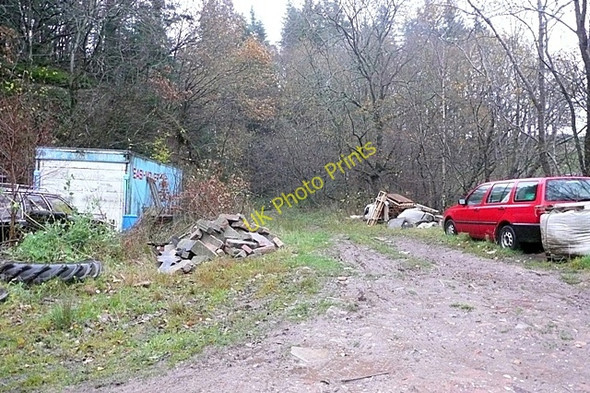 Photo 6"x4" Hall of the Forest Pentiken c2009